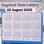 Nagaland State Lottery – Detailed Results for 10 August 2025